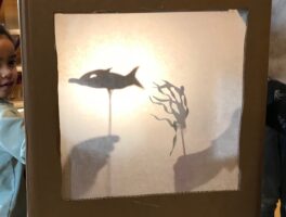 Schaduwspel over dieren, de nacht, de dingen om ons heen