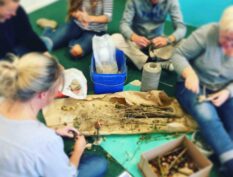 Professionaliseringsaanbod voor leerkrachten en teams in het primair onderwijs