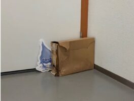 Bewaren en verzamelen – op school