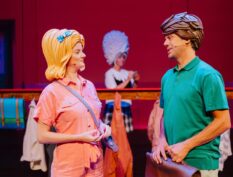 Meester Kikker | de Grote Haay