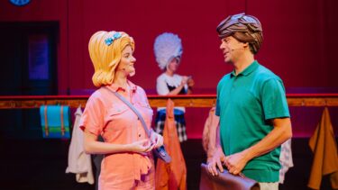 Meester Kikker | de Grote Haay